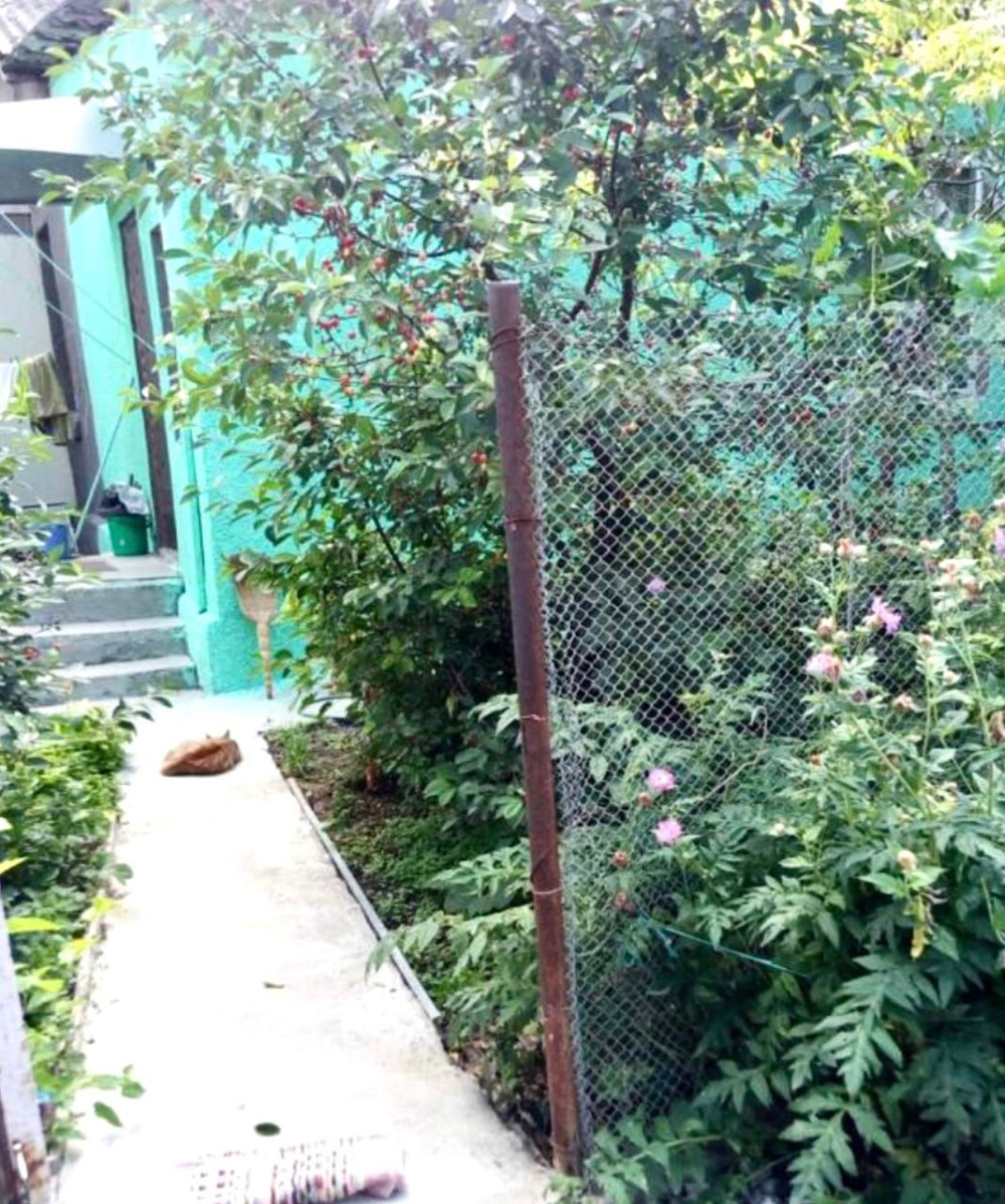 Квартира на ул. Люстдорфская дорога 27, 50 м², 65 000$ — FAKTOR