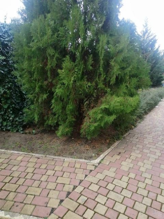 Комерційна нерухомість на вул. Маршала Бабаджаняна, 120 м², 17 000$ — FAKTOR