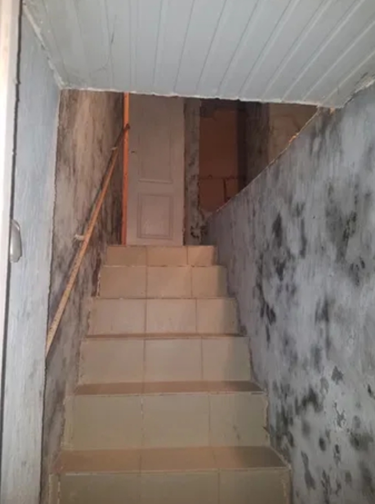 Коммерческая недвижимость на ул. Коблевская, 100 м², 52 000$ — FAKTOR