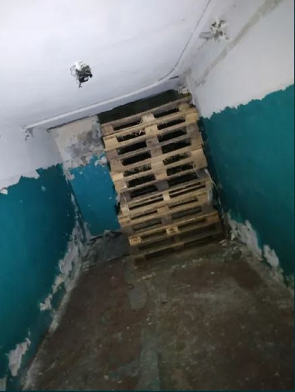 Коммерческая недвижимость на ул. Вильгельма Габсбурга, 120 м², 29 990$ — FAKTOR