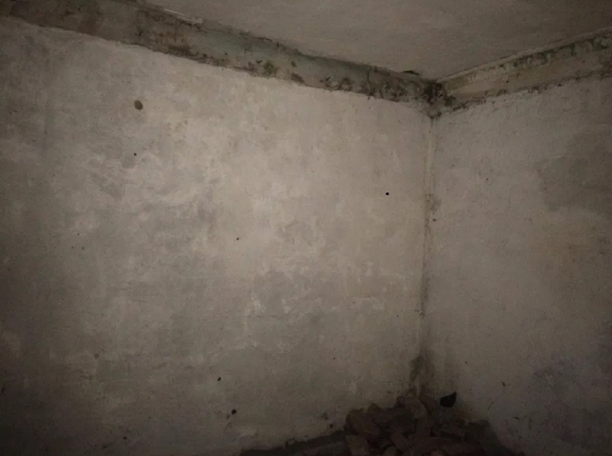 Комерційна нерухомість на вул. Осипова, 46 м², 17 400$ — FAKTOR