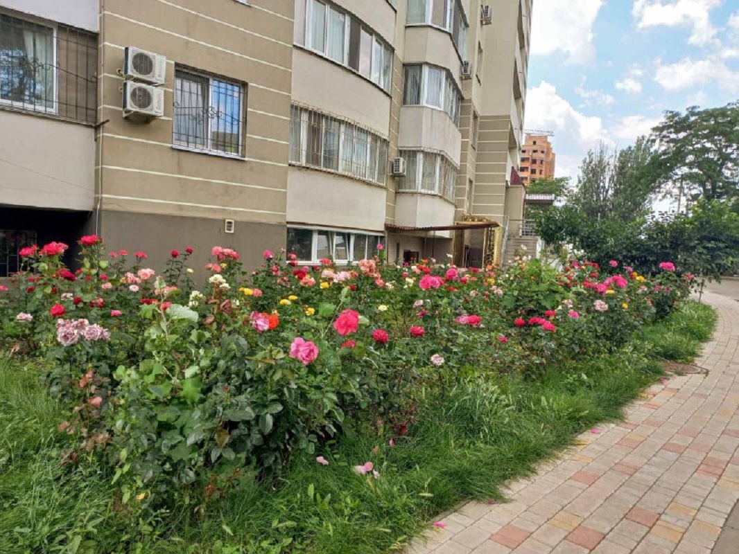 Коммерческая недвижимость на ул. Шота Руставели, 60 м², 30 000$ — FAKTOR