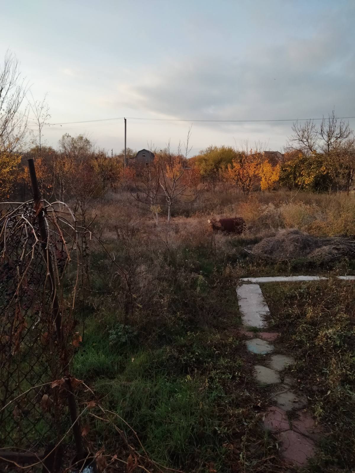 Дом на ул. Надлиманский массив, 30 м², 6 000$ — FAKTOR