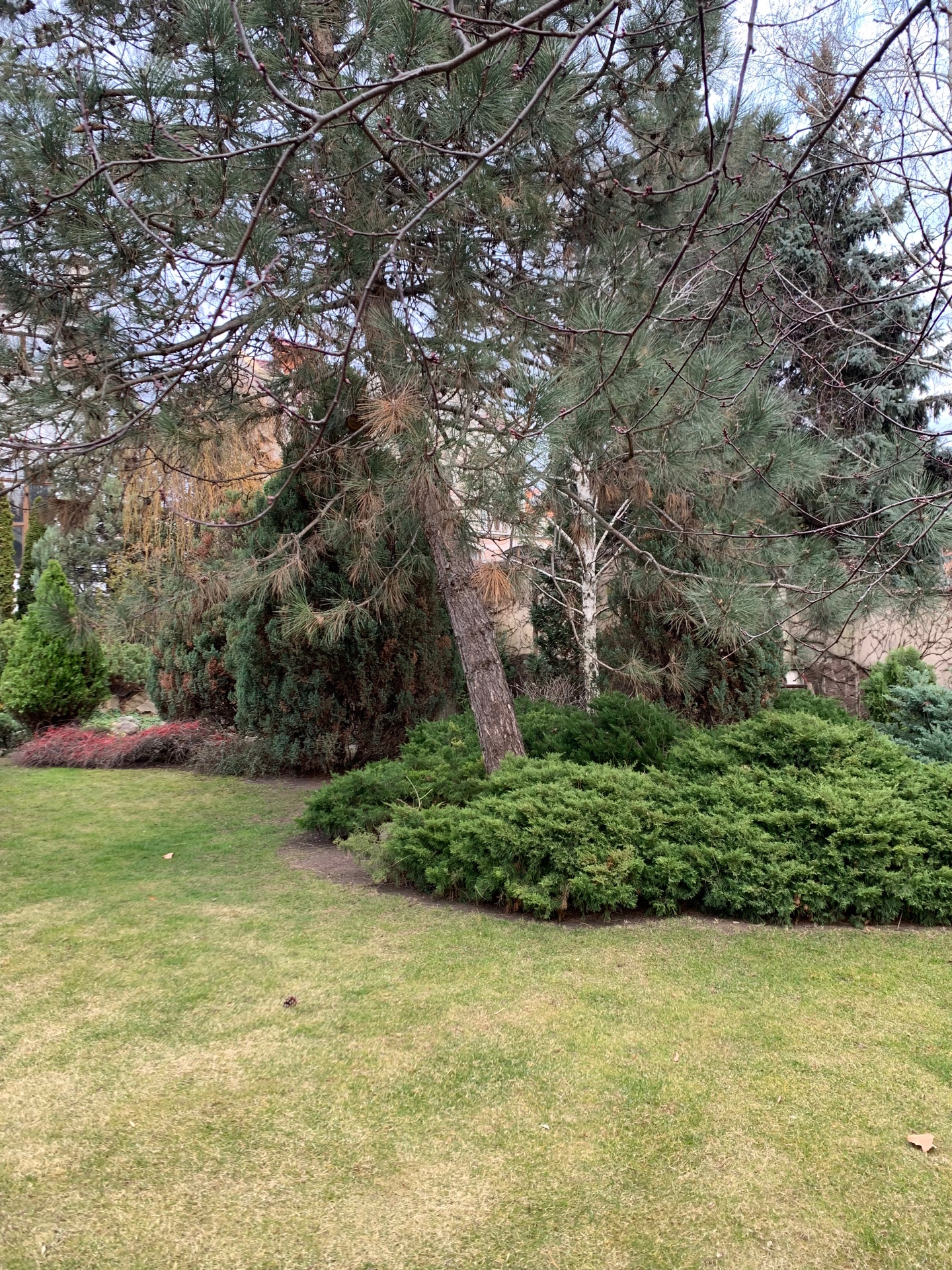 Будинок на вул. Кордонный пер, 550 м², 730 000$ — FAKTOR