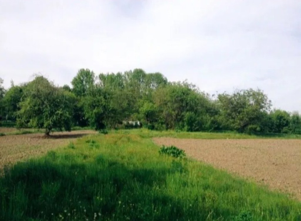 Будинок на вул. Полевая, 50 м², 42 000$ — FAKTOR