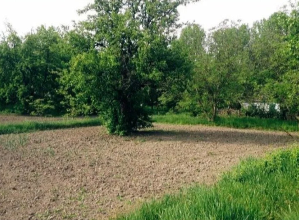 Будинок на вул. Полевая, 50 м², 42 000$ — FAKTOR