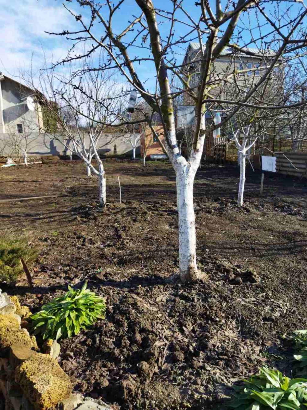 Будинок на вул. 11-я линия, 60 м², 10 000$ — FAKTOR