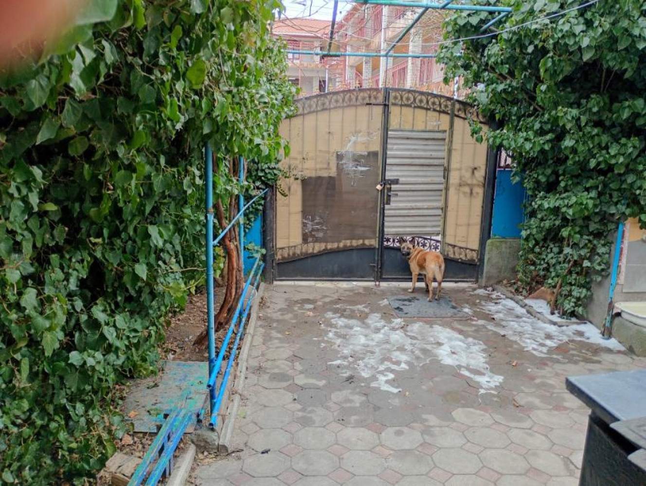 Комерційна нерухомість на вул. Виноградная, 288 м², 90 000$ — FAKTOR