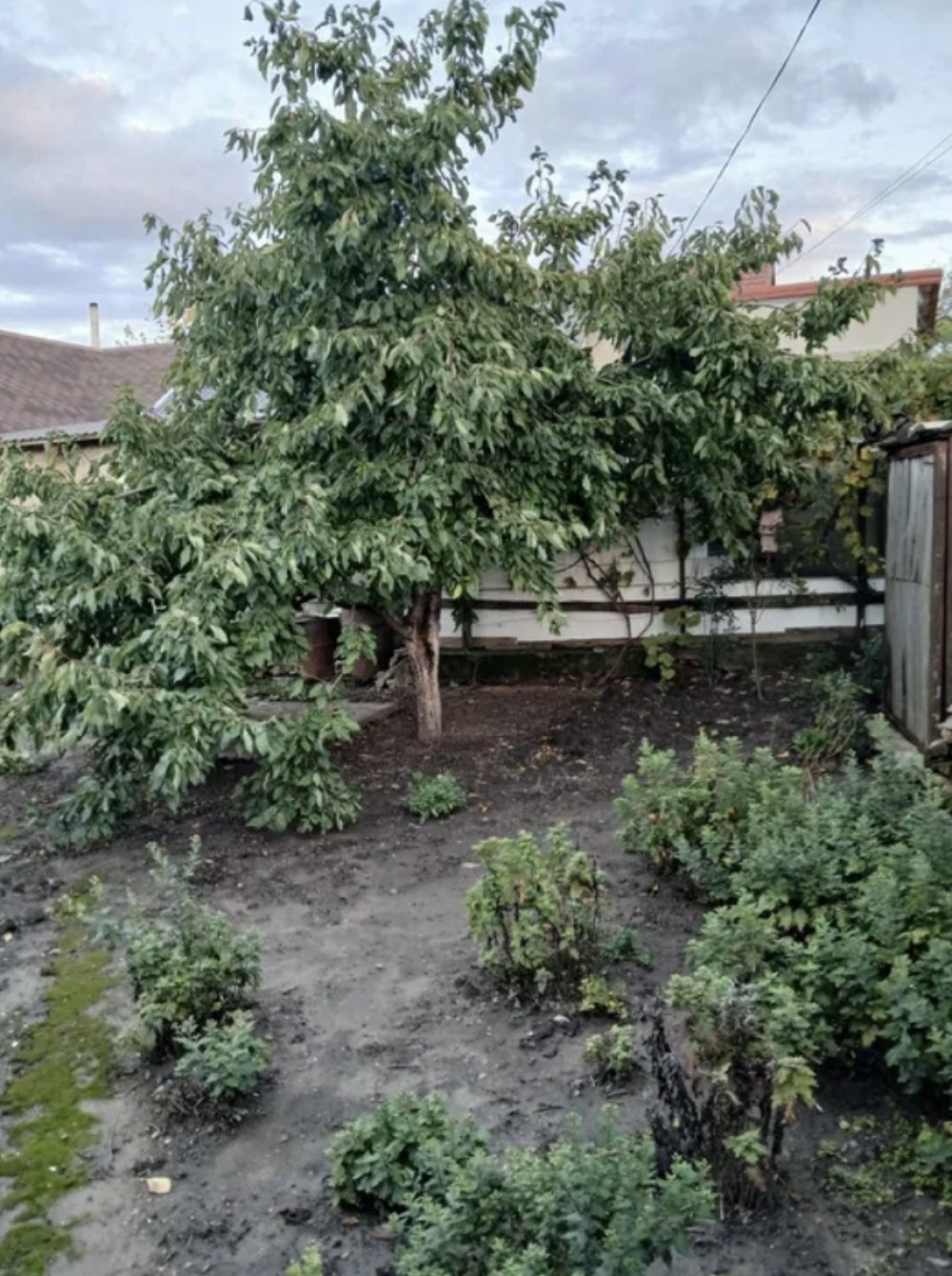 Дом на ул. Педагогическая (Совхозная), 100 м², 50 000$ — FAKTOR