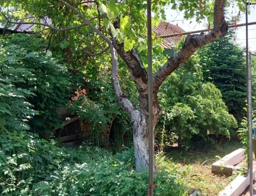 Дом на ул. Профессора Каришковского, 110 м², 66 000$ — FAKTOR