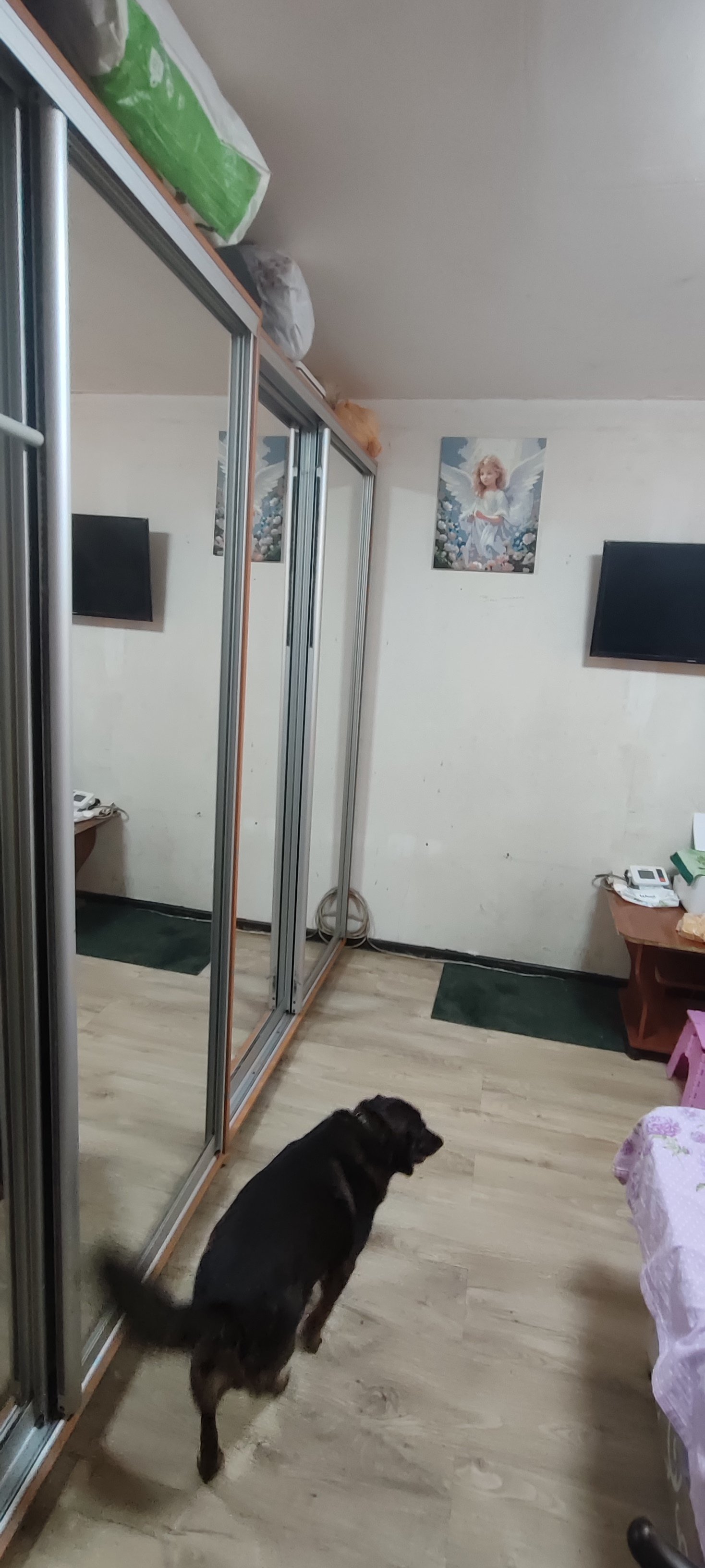 Квартира на вул. Мечникова, 41 м², 30 000$ — FAKTOR