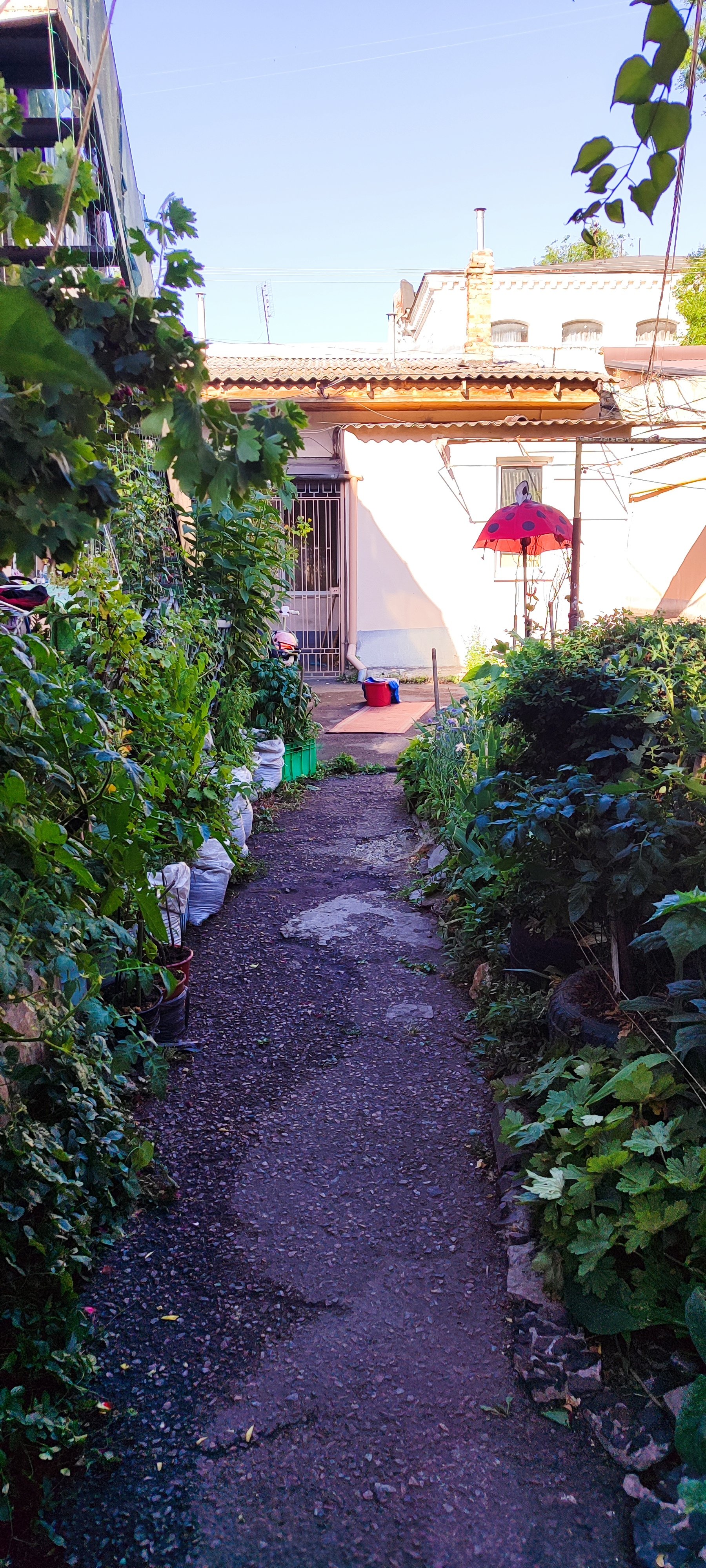 Квартира на вул. Мечникова, 41 м², 30 000$ — FAKTOR