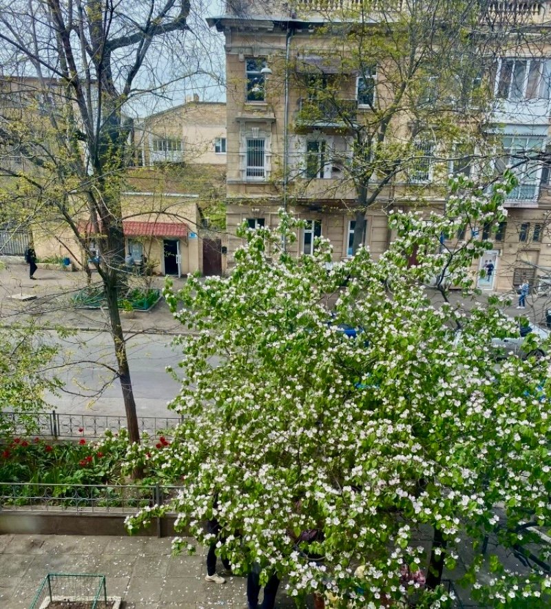 Квартира на вул. Конная, 39 м², 42 000$ — FAKTOR