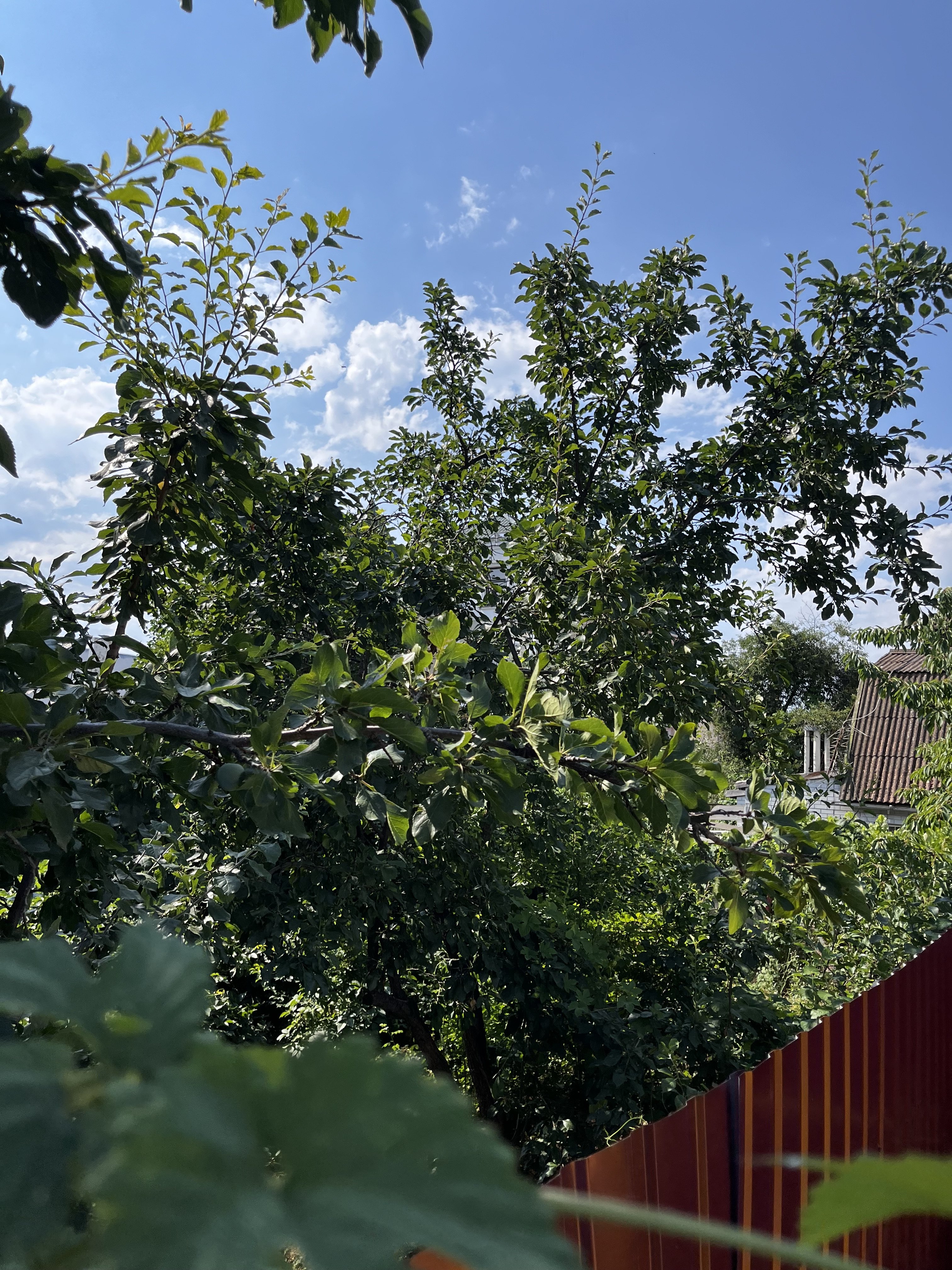 Будинок на вул. Толбухина, 30 м², 220 000$ — FAKTOR