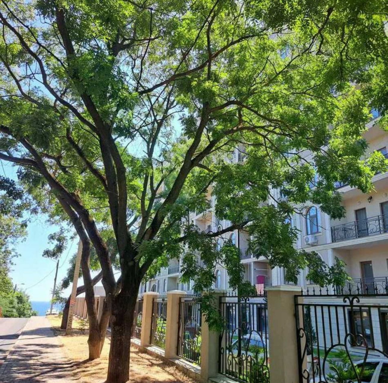 Квартира на вул. Дача Ковалевского, 100 м², 125 000$ — FAKTOR