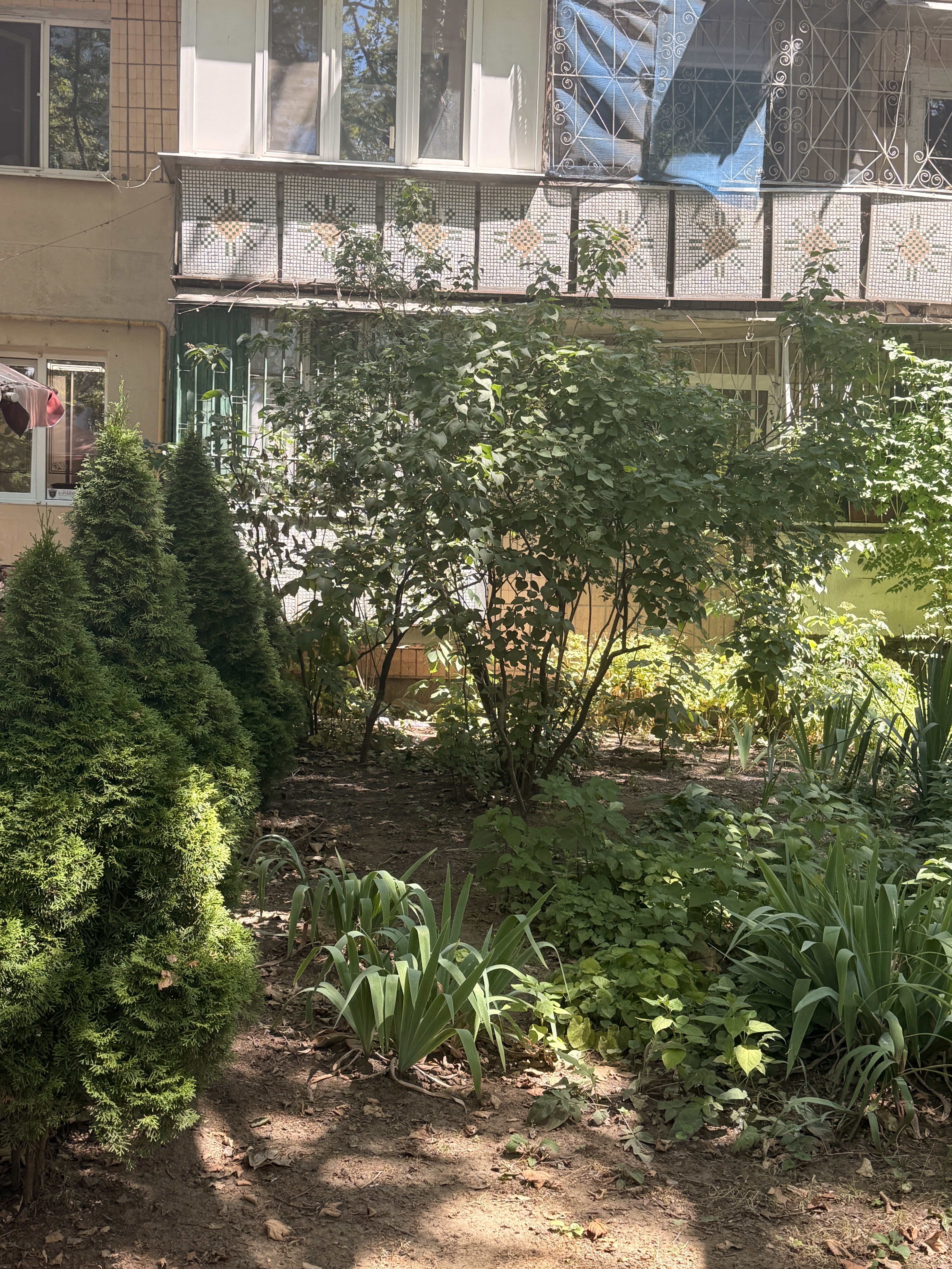 Комерційна нерухомість на вул. Королева Академика, 51 м², 128 000$ — FAKTOR
