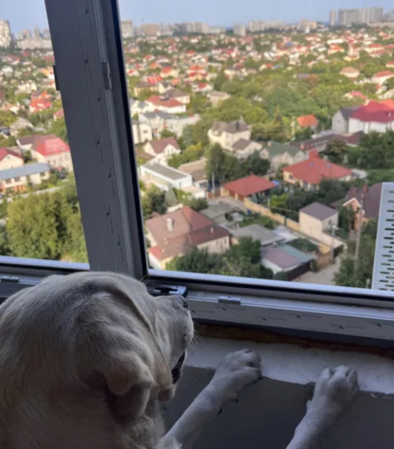 Квартира на ул. Жаботинского, 43 м², 46 000$ — FAKTOR