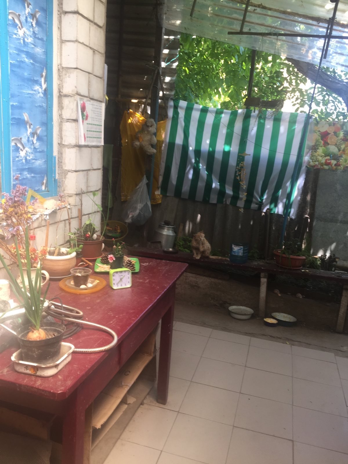 Дом на ул. 1-й Приморский переулок, 25 м², 22 000$ — FAKTOR