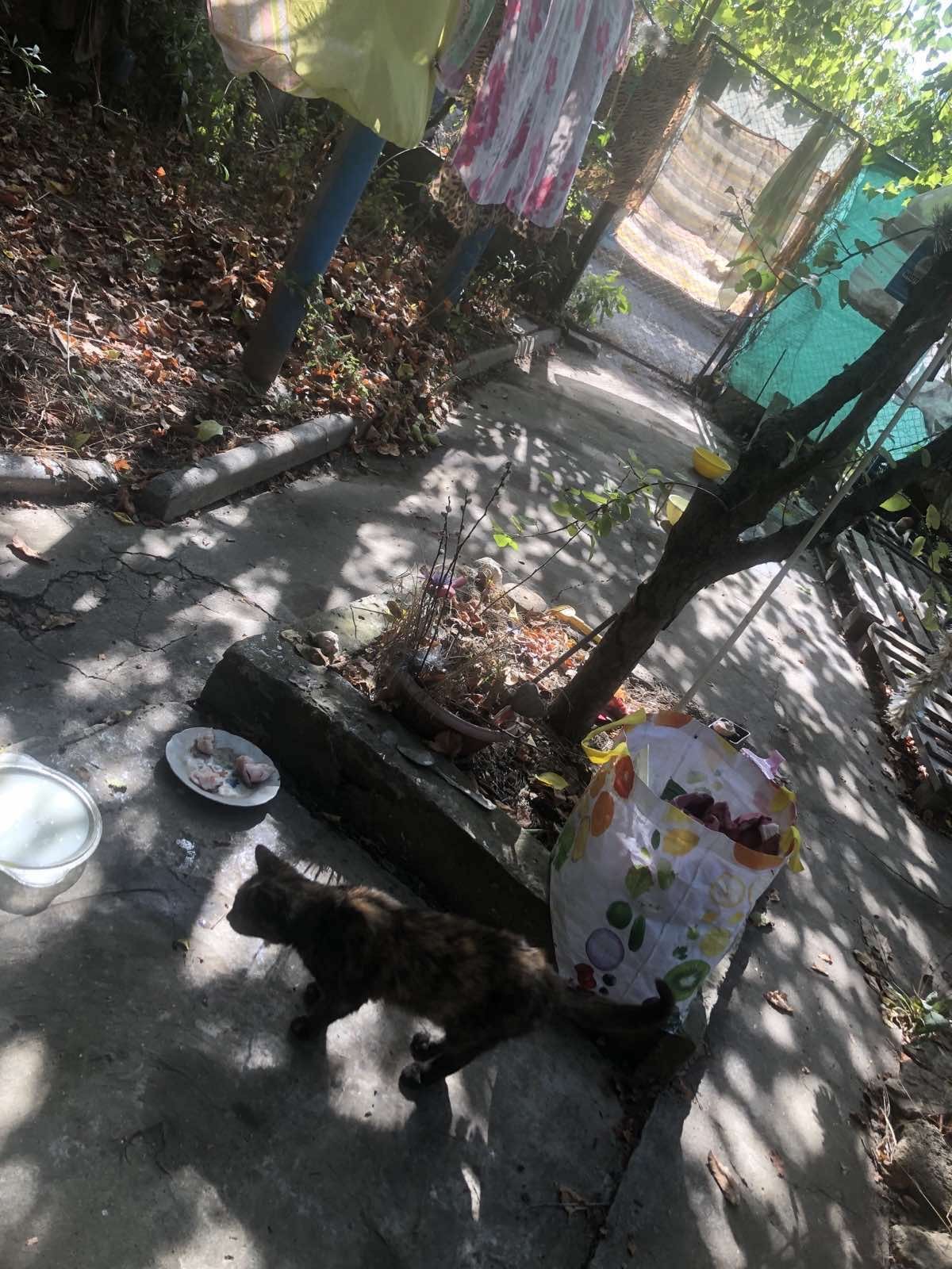 Дом на ул. 1-й Приморский переулок, 25 м², 22 000$ — FAKTOR