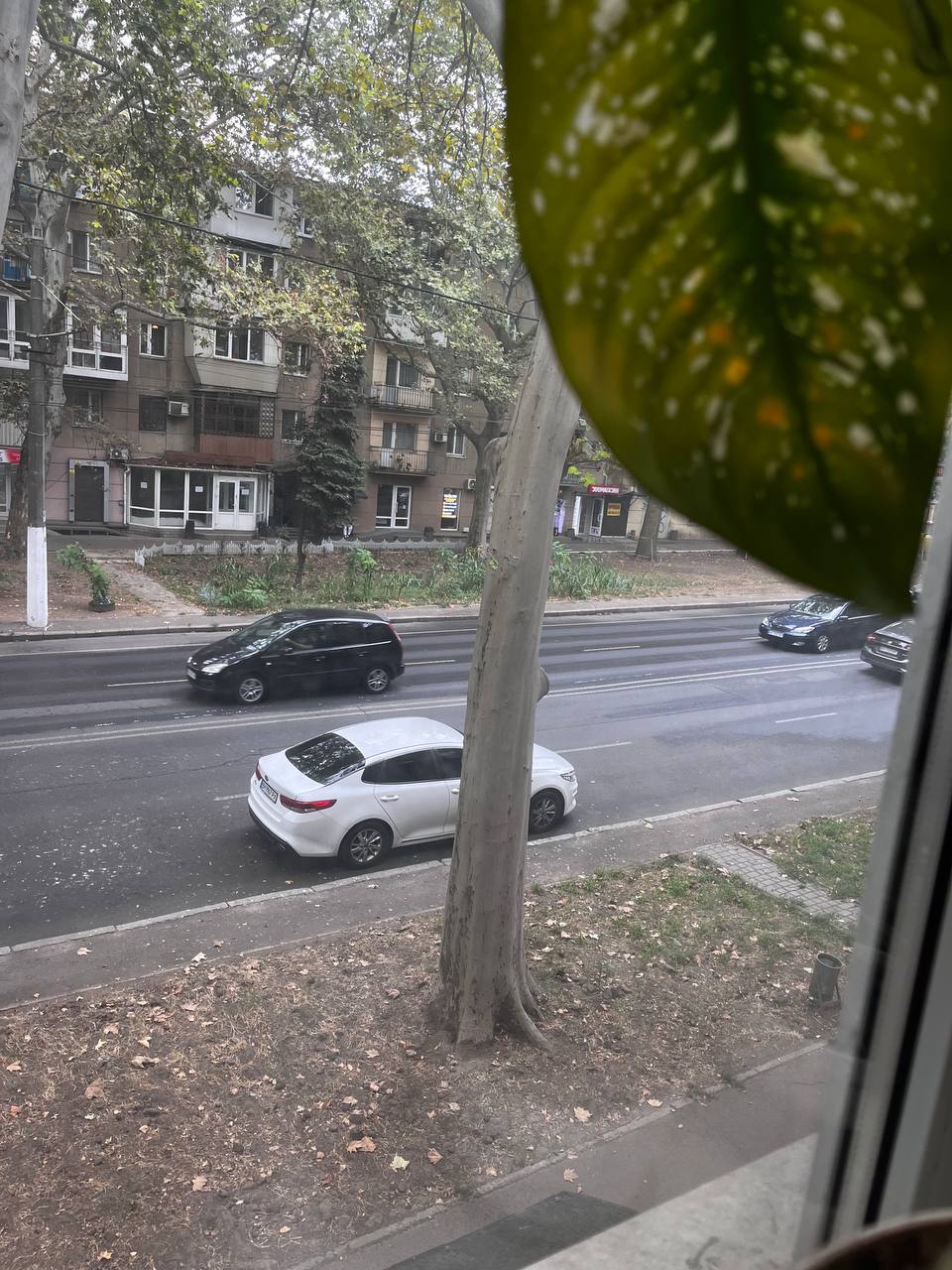 Квартира на ул. Сегедская, 58 м², 58 000$ — FAKTOR