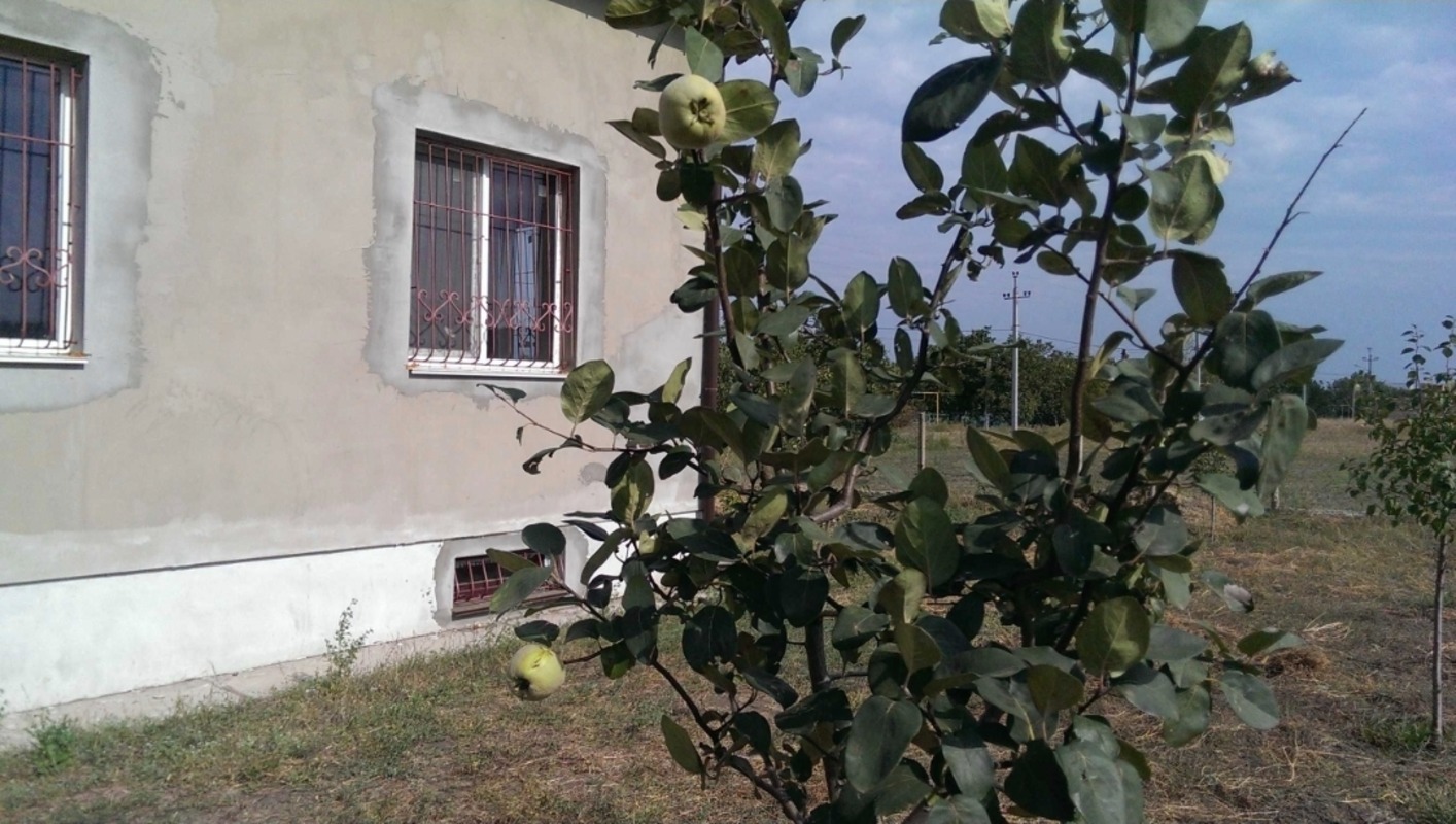 Будинок на вул. Горностаева, 225 м², 75 000$ — FAKTOR