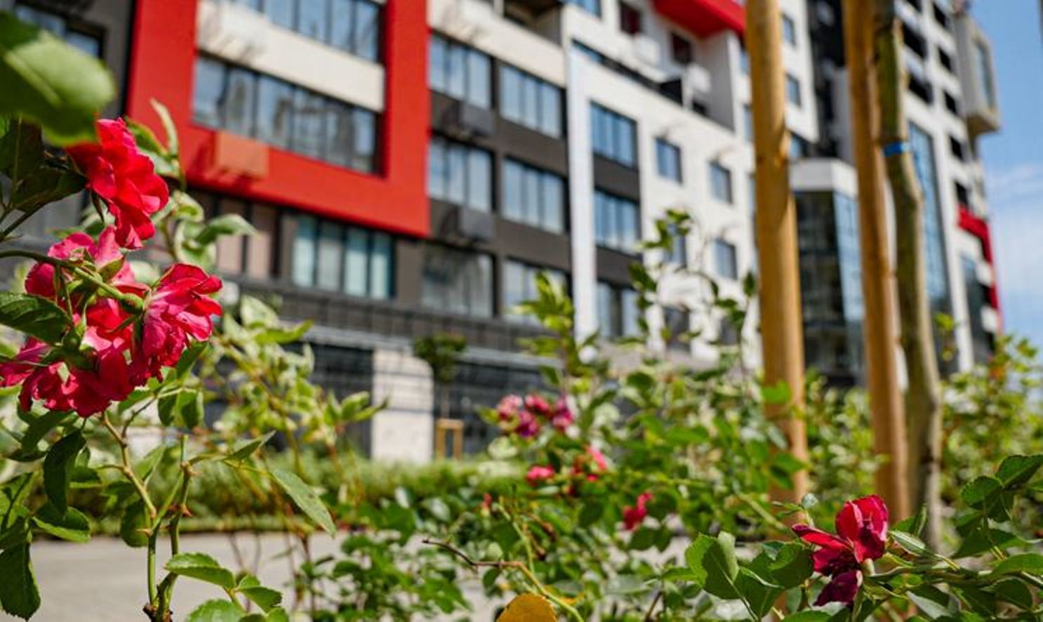 Квартира на вул. Вильямса Академика, 25 м², 20 300$ — FAKTOR